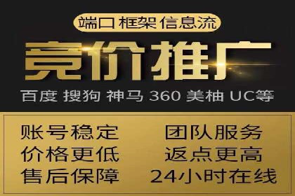 百度竞价广告投放策略：案例分析及效果评估